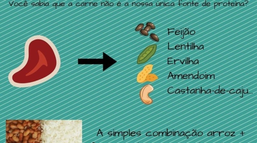 Carne proteina