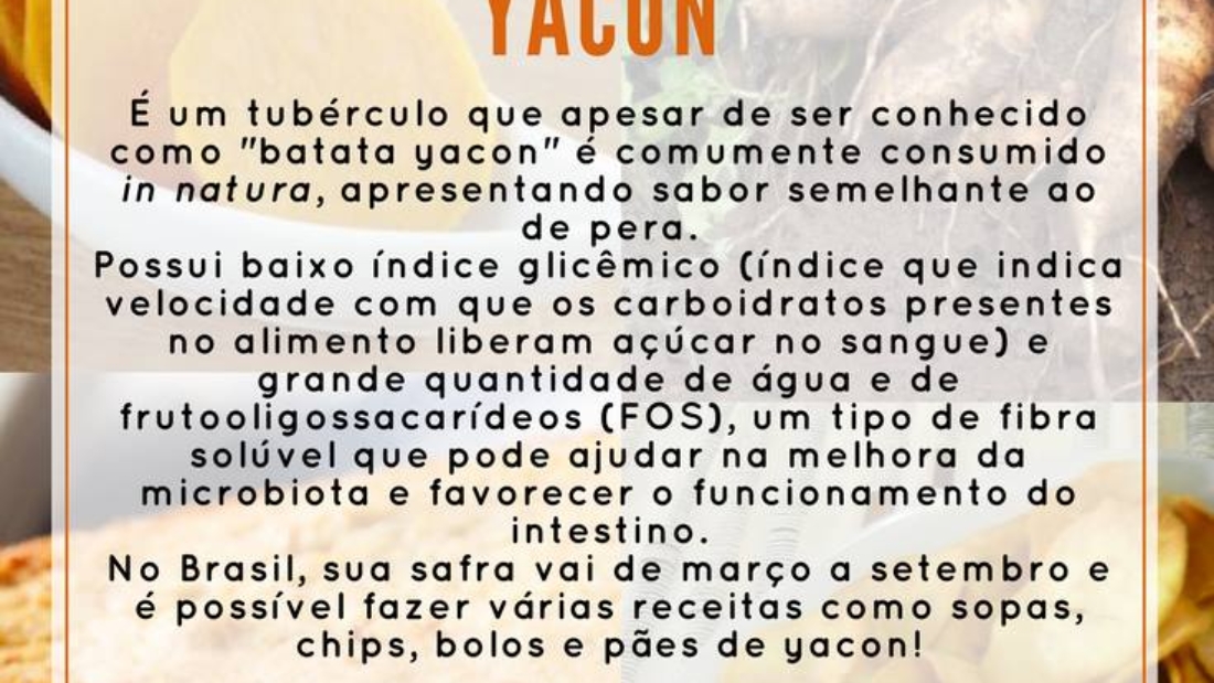 yacon