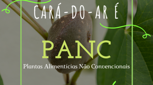 PANC Cará-do-ar (1)