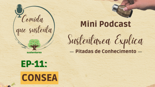 Explica 11 Estático - Quadrado