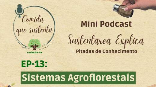 Explica 13 Chamada - Quadrado