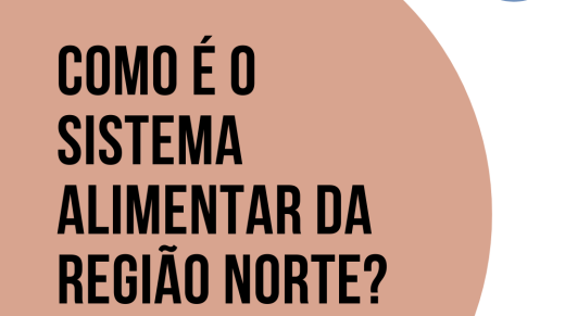 MISFS-R Norte - 1007