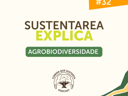 estatico explica (1)